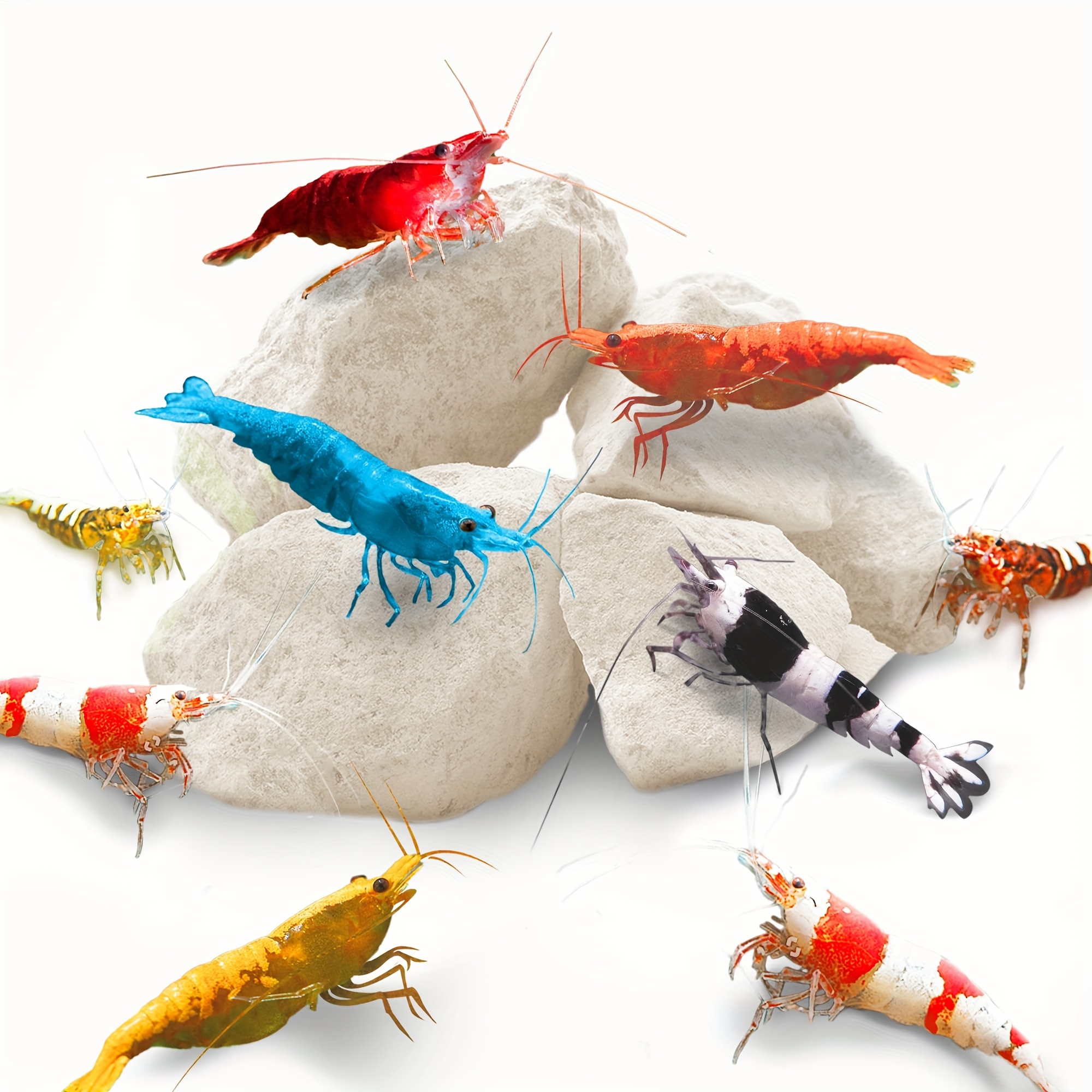 Marine Aquarium Gravel - Grams of Shrimp Rock-Natural Calcium Magnesium