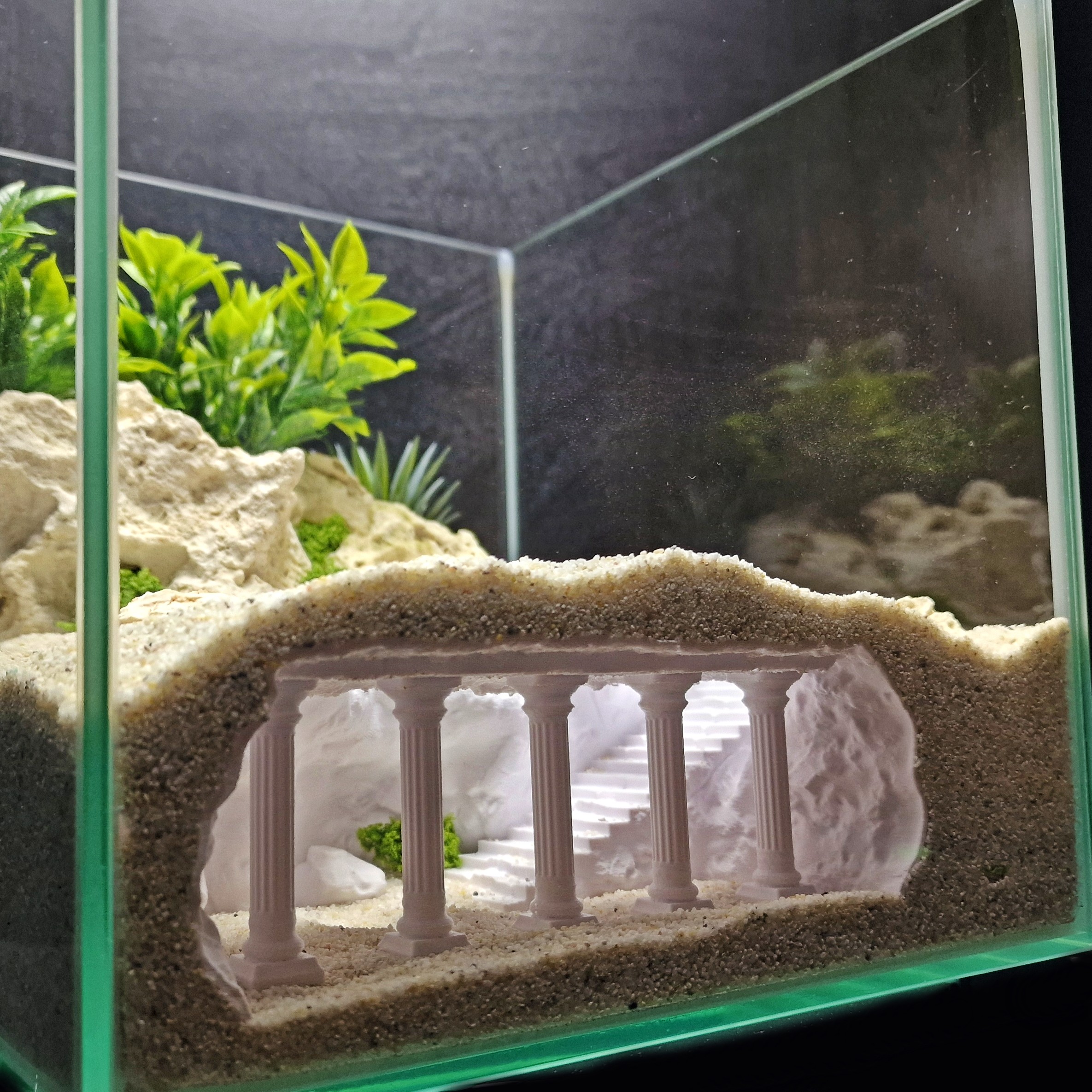 Marine Aquarium Gravel - The ancient Roman ruins' aquarium, featuring