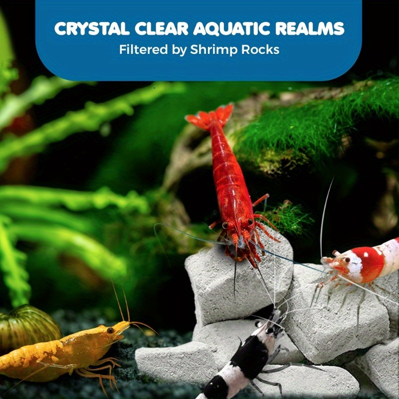Grams of Shrimp Rock-Natural C - Marine Aquarium Gravel 리뷰 및 가격