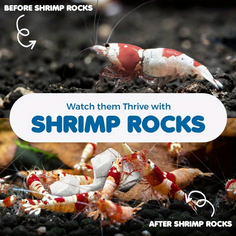 Grams of Shrimp Rock-Natural C - Marine Aquarium Gravel 리뷰 및 가격