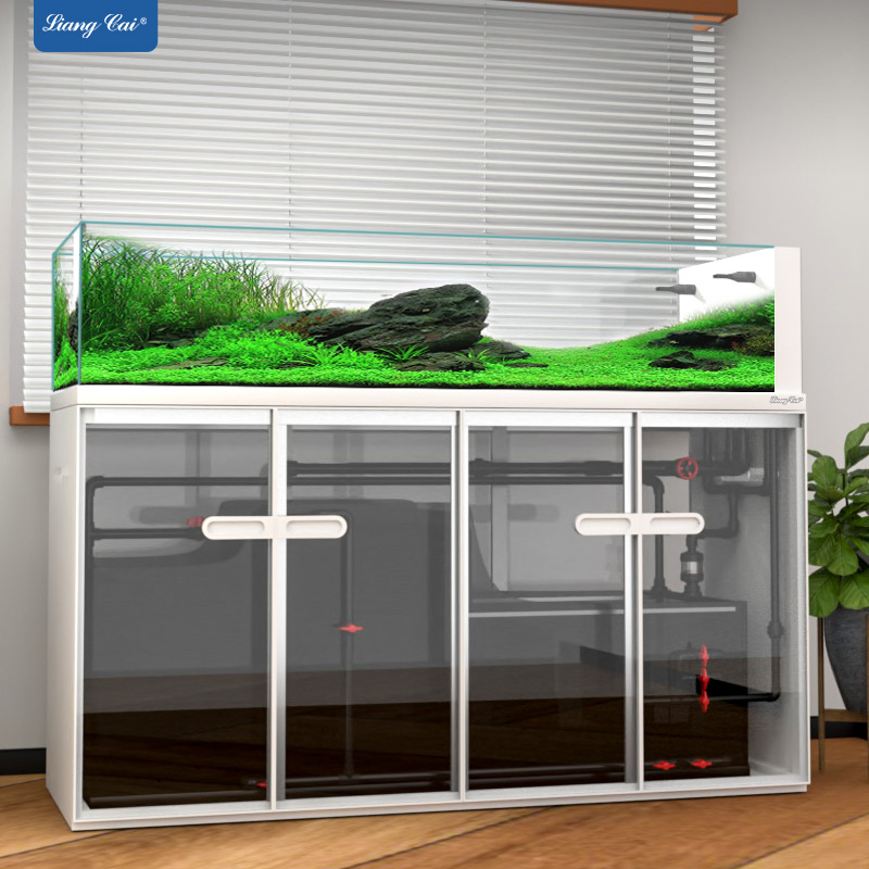 Large Modern Style Glass Fish  - Aquarium Marine Fish For Sale 리뷰 및 가격