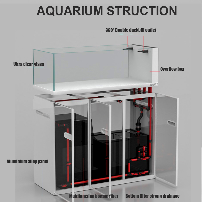 Large Modern Style Glass Fish  - Aquarium Marine Fish For Sale 리뷰 및 가격