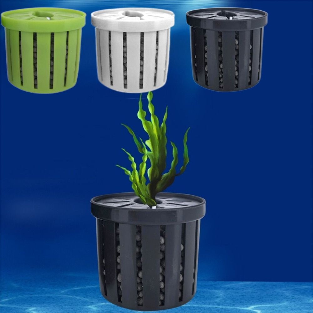 4PCS Water Plant Stand Fish Ta - Marine Aquarium Glass Cleaner 리뷰 및 가격