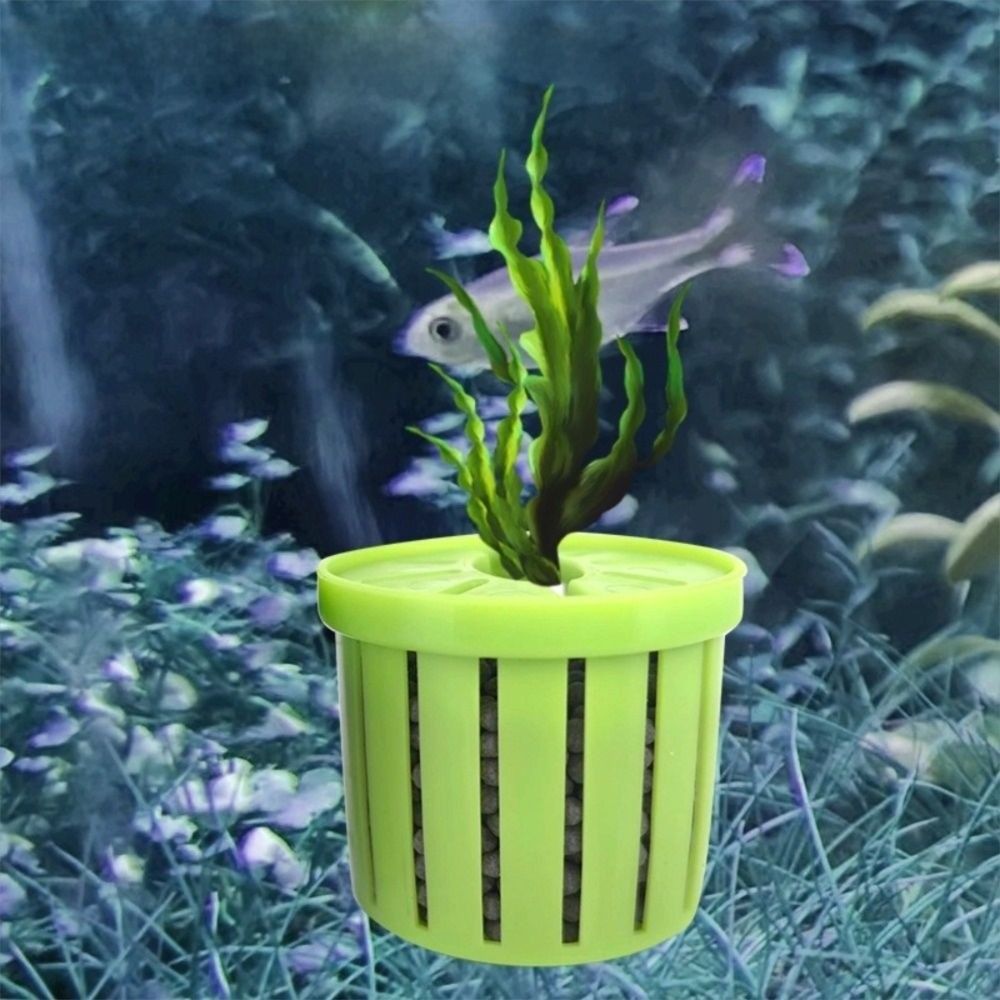4PCS Water Plant Stand Fish Ta - Marine Aquarium Glass Cleaner 리뷰 및 가격