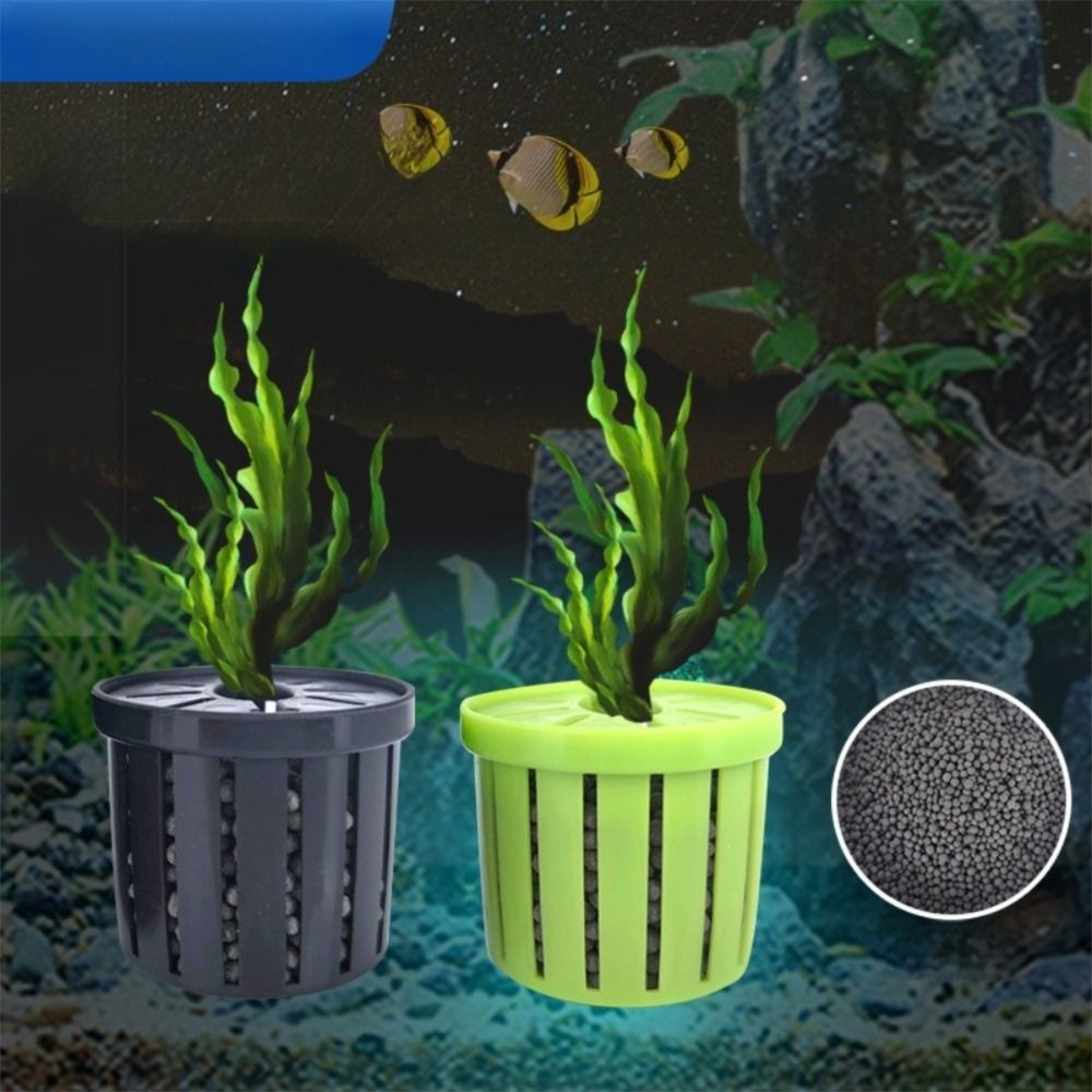 4PCS Water Plant Stand Fish Ta - Marine Aquarium Glass Cleaner 리뷰 및 가격