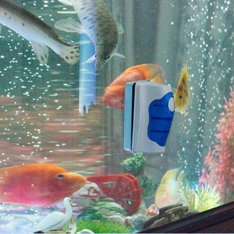 Fish Tank Glass Scraper Cleane - Marine Aquarium Glass Cleaner 리뷰 및 가격