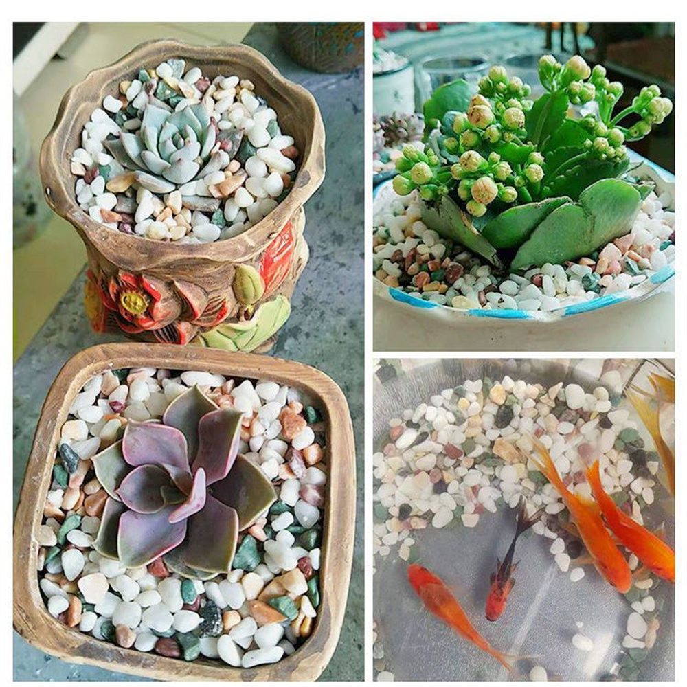 50/100g Natural Crystals Grave - Marine Aquarium Gravel 리뷰 및 가격