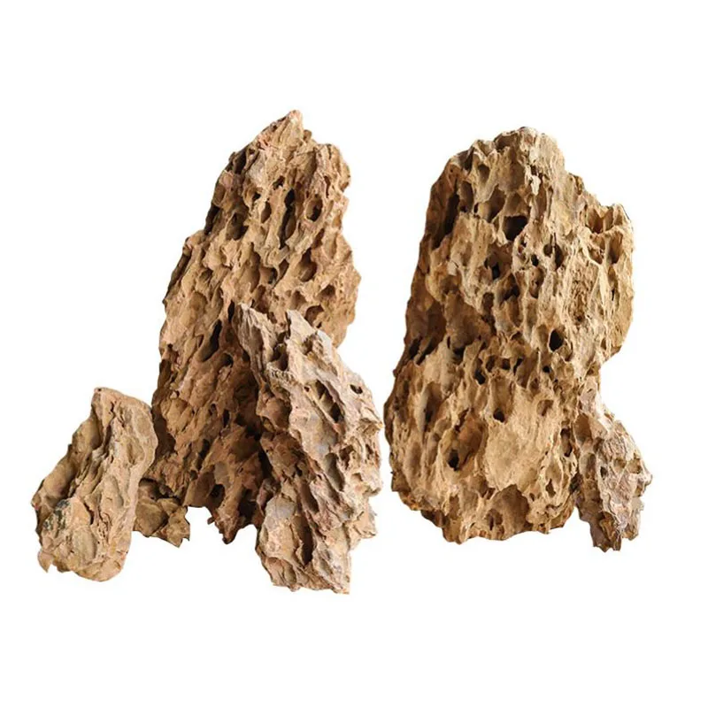 250g 500g 1000g Natural Aquari - Marine Aquarium Gravel 리뷰 및 가격