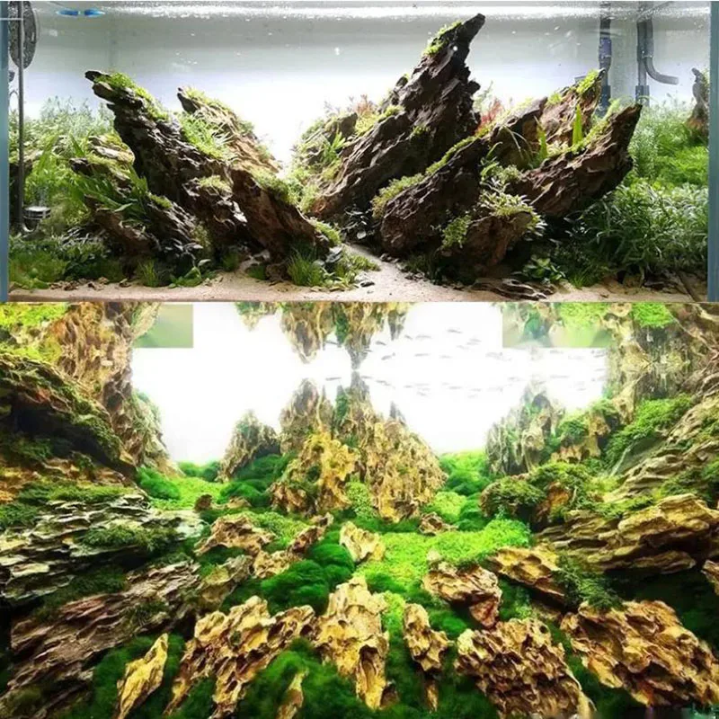250g 500g 1000g Natural Aquari - Marine Aquarium Gravel 리뷰 및 가격