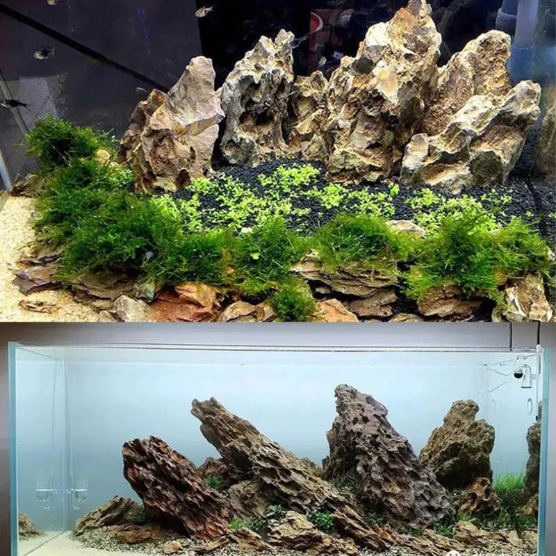 250g 500g 1000g Natural Aquari - Marine Aquarium Gravel 리뷰 및 가격