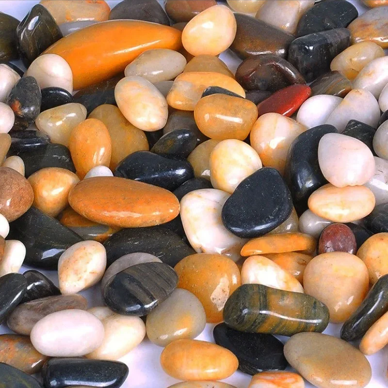 250g 500g Natural Aquarium Dec - Marine Aquarium Gravel 리뷰 및 가격