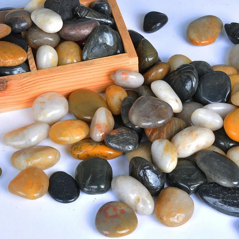 250g 500g Natural Aquarium Dec - Marine Aquarium Gravel 리뷰 및 가격