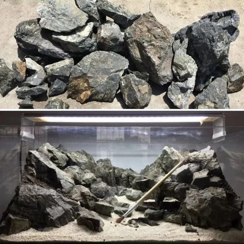 100g 250g 500g Natural Aquariu - Marine Aquarium Gravel 리뷰 및 가격
