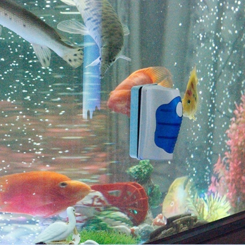 Fish Tank Glass Scraper Cleane - Marine Aquarium Glass Cleaner 리뷰 및 가격