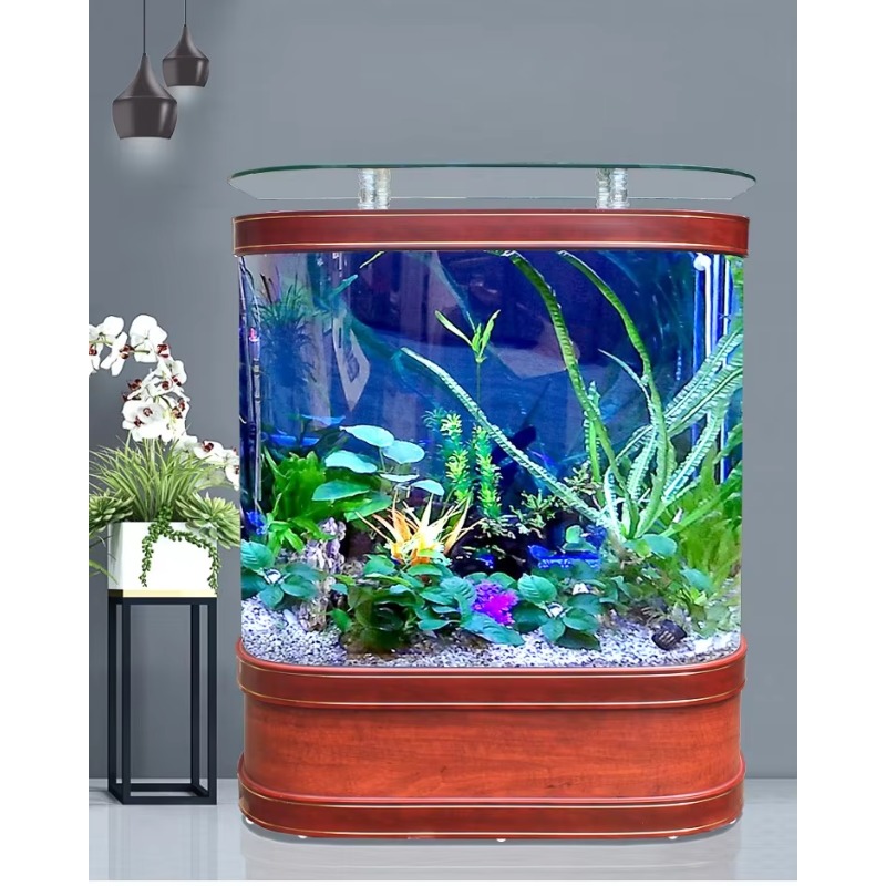 Marine Large 200 Gallon Fish A - Aquarium Marine Fish For Sale 리뷰 및 가격
