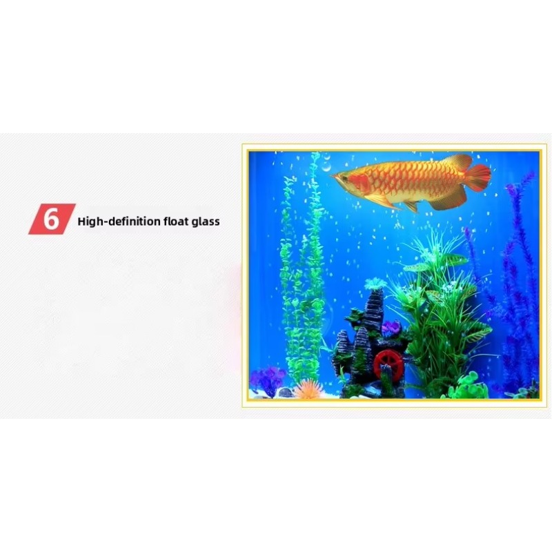 Marine Large 200 Gallon Fish A - Aquarium Marine Fish For Sale 리뷰 및 가격