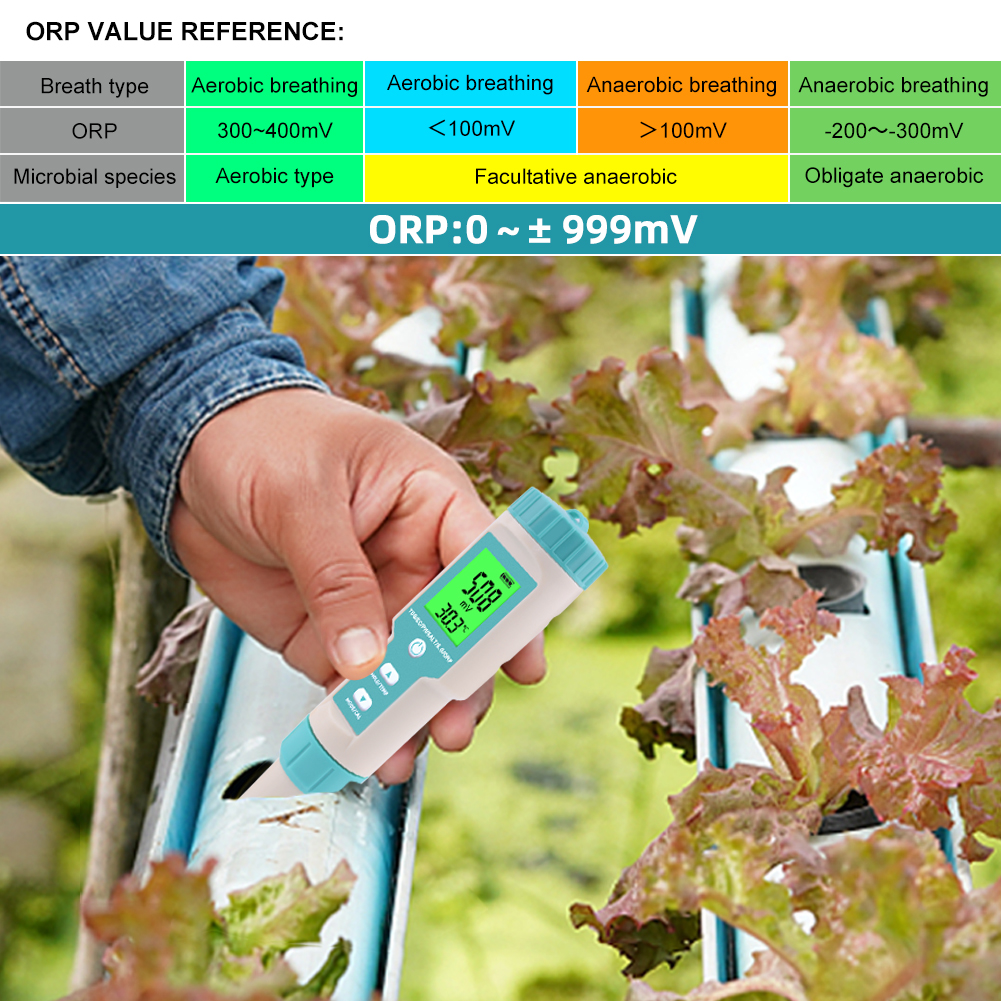 New 7 in 1 PH/TDS/EC/ORP/Salin - Marine Aquarium Water Analyzer 리뷰 및 가격