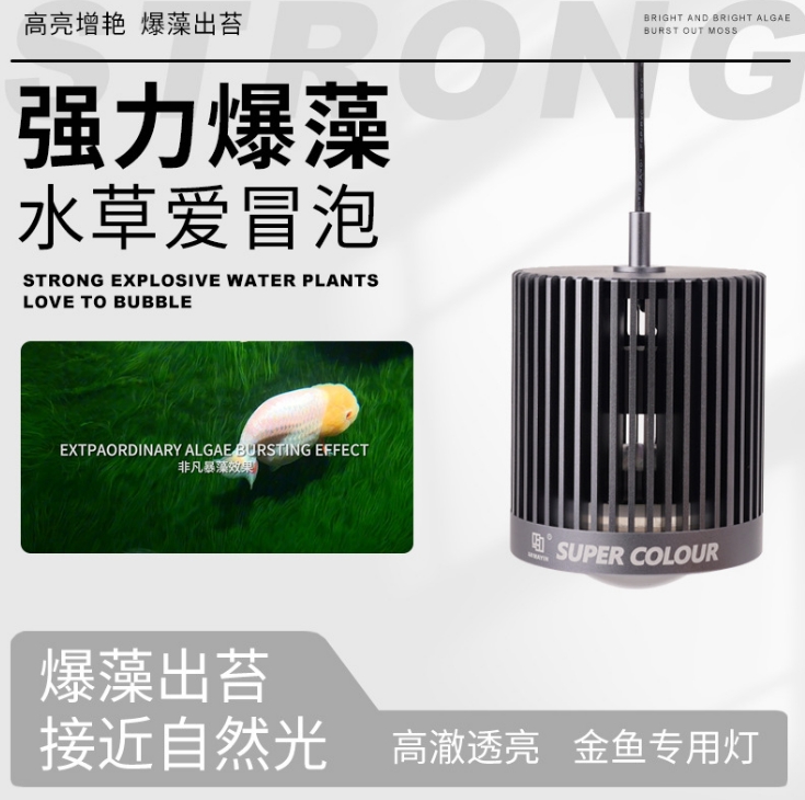 LED Super Color 3D Hot Sale Fi - Aquarium Marine Fish For Sale 리뷰 및 가격