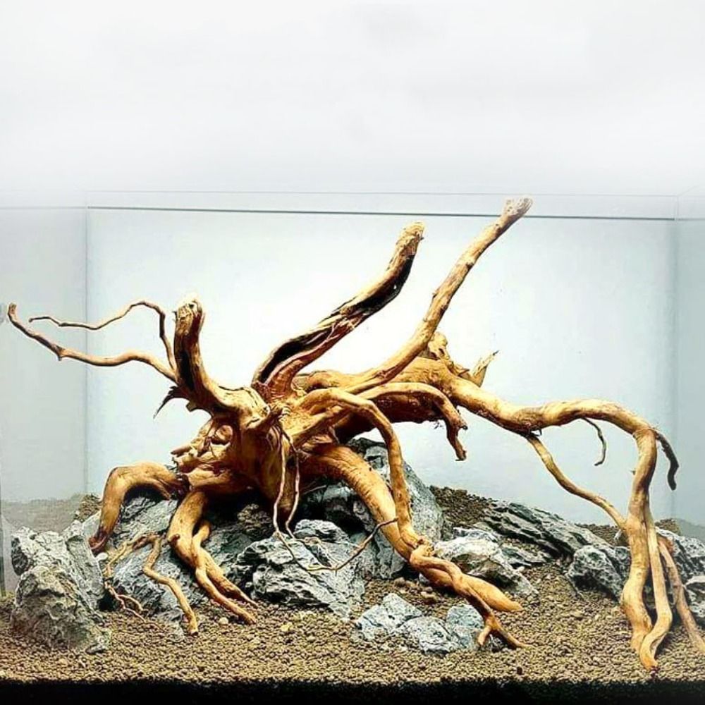 Large Aquarium Driftwood Natur - Marine Aquarium Gravel 리뷰 및 가격
