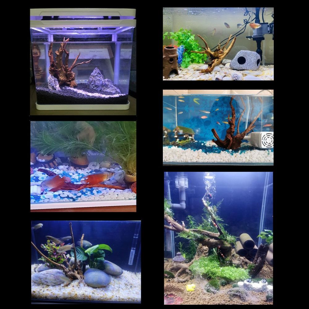 Large Aquarium Driftwood Natur - Marine Aquarium Gravel 리뷰 및 가격