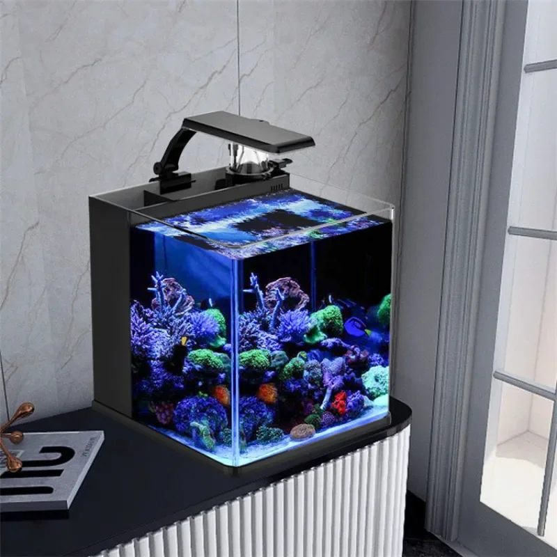 Hot sales Ultra Clear Glass Mi - Aquarium Marine Fish For Sale 리뷰 및 가격
