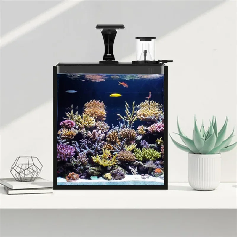 Hot sales Ultra Clear Glass Mi - Aquarium Marine Fish For Sale 리뷰 및 가격