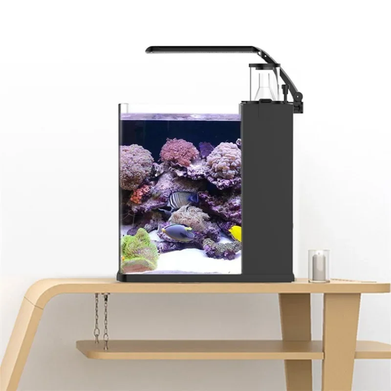 Hot sales Ultra Clear Glass Mi - Aquarium Marine Fish For Sale 리뷰 및 가격