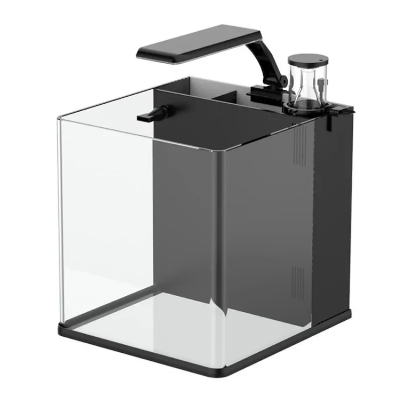 Hot sales Ultra Clear Glass Mi - Aquarium Marine Fish For Sale 리뷰 및 가격