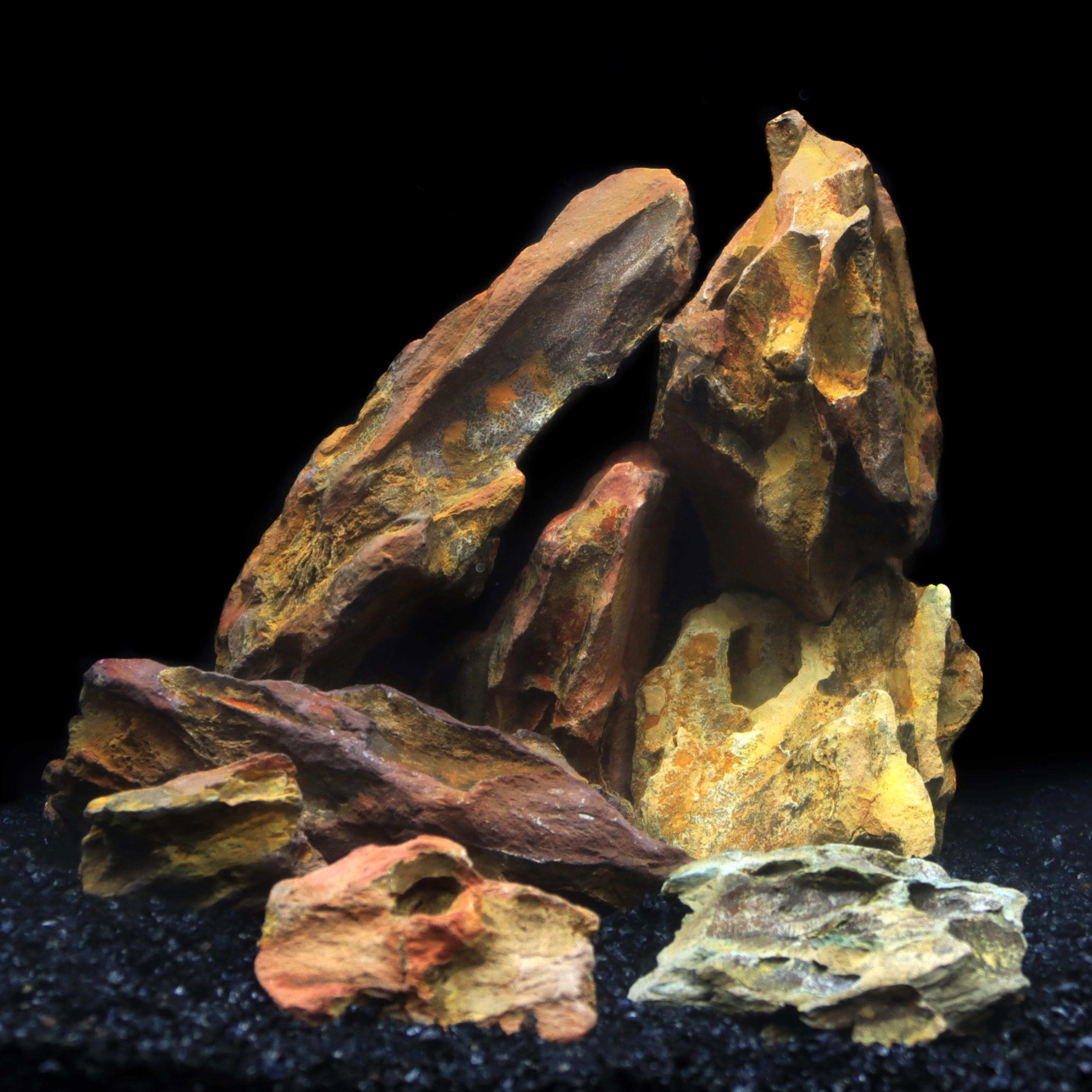 1lb/500g Natural Dragon Bone S - Marine Aquarium Gravel 리뷰 및 가격
