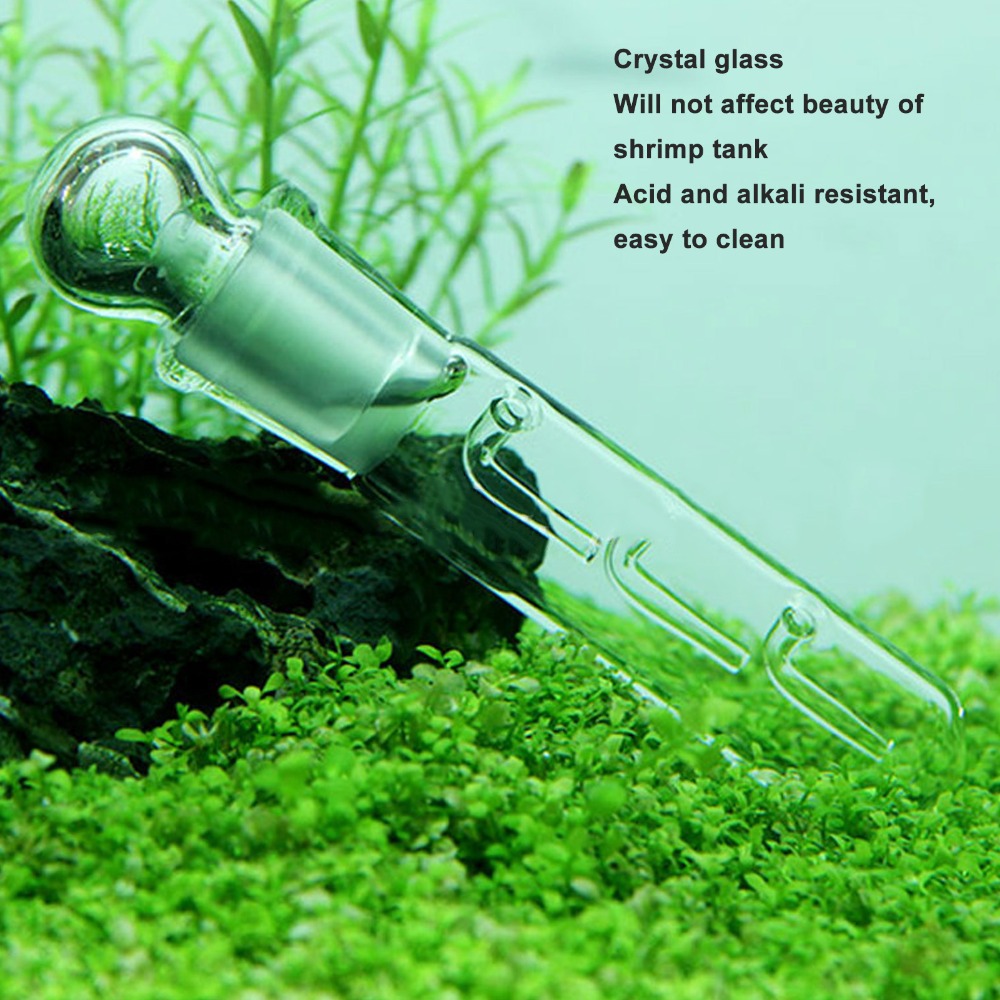 3pcs Easy to Use Transparent P - Marine Aquarium Glass Cleaner 리뷰 및 가격