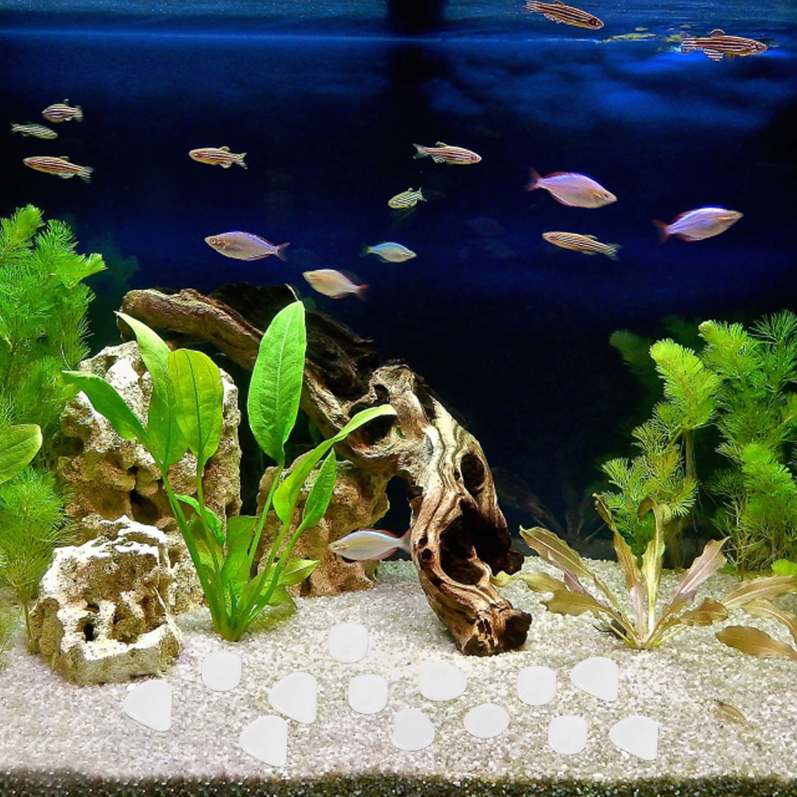 200Pcs Glowing Stone Pebbles A - Marine Aquarium Gravel 리뷰 및 가격